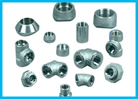 254 SMO UNS S31254 Forged Fittings Manufacturer