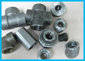 254 SMO UNS S31254 Forged Fittings Manufacturer