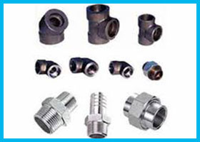 Hastelloy B2 UNS N10665 Forged Fittings Manufacturer Exporter