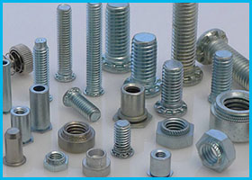 Hastelloy C276 UNS N10276 DIN 2.4819 Nut, Bolts, Washer And Fasteners Manufacturer Exporter